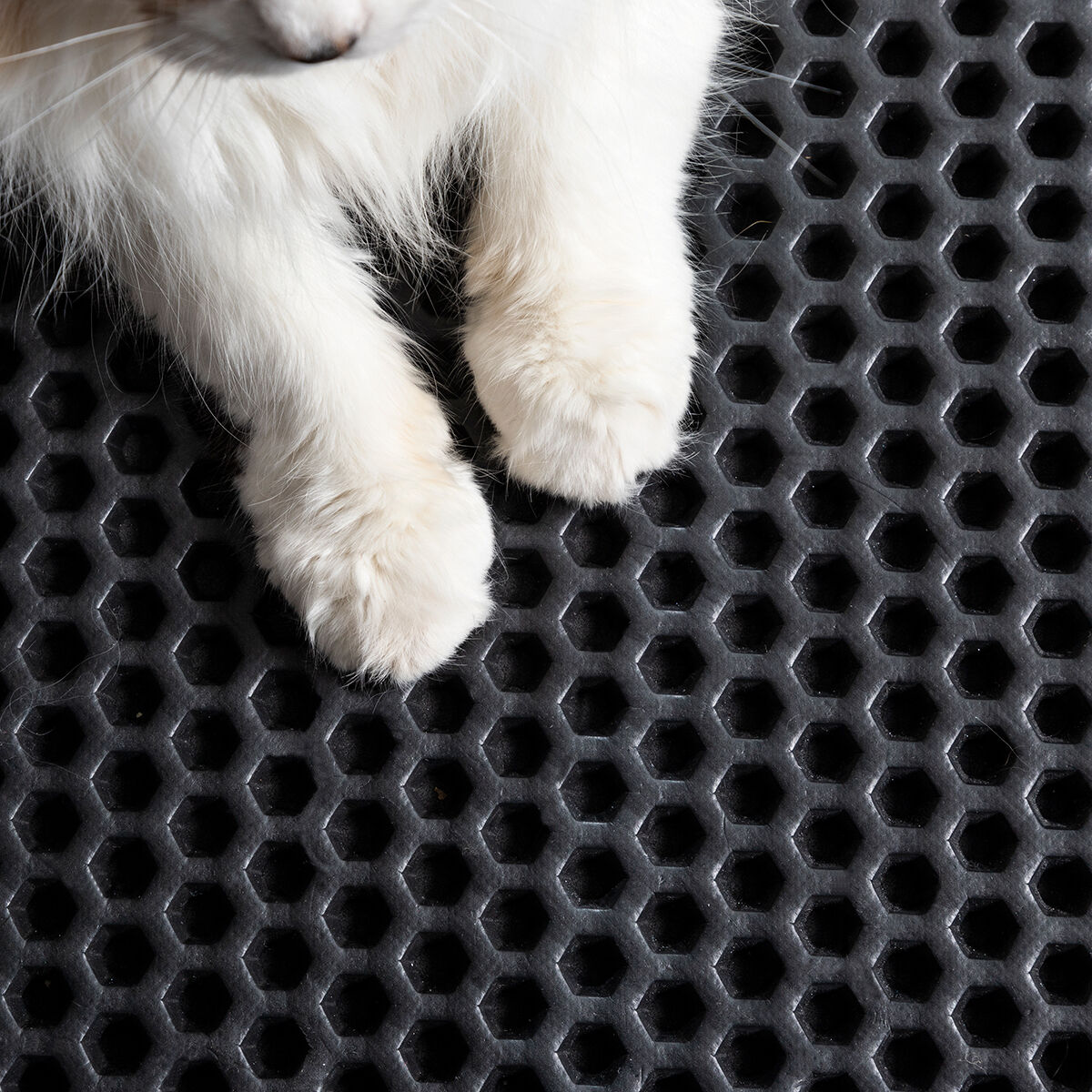 Mat voor kattenbak Clikatt InnovaGoods
